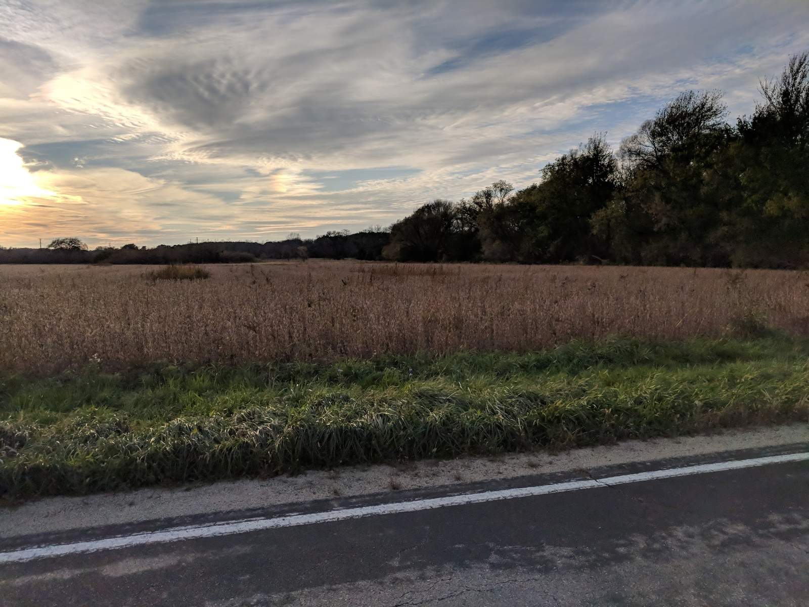 Lilly Lane Nature Preserve — photo 1