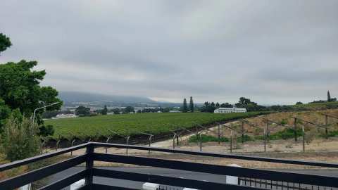 Paarl Mountain Lodge — photo 5