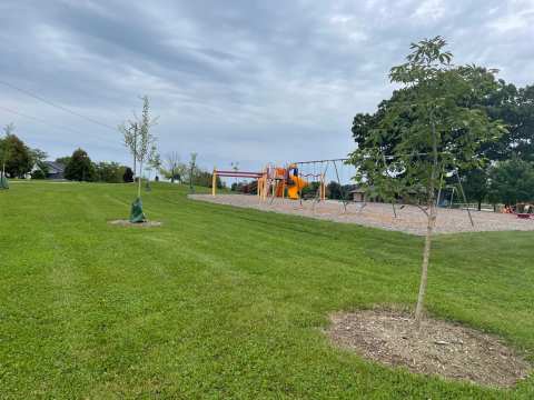 Lone Oak Park — photo 2