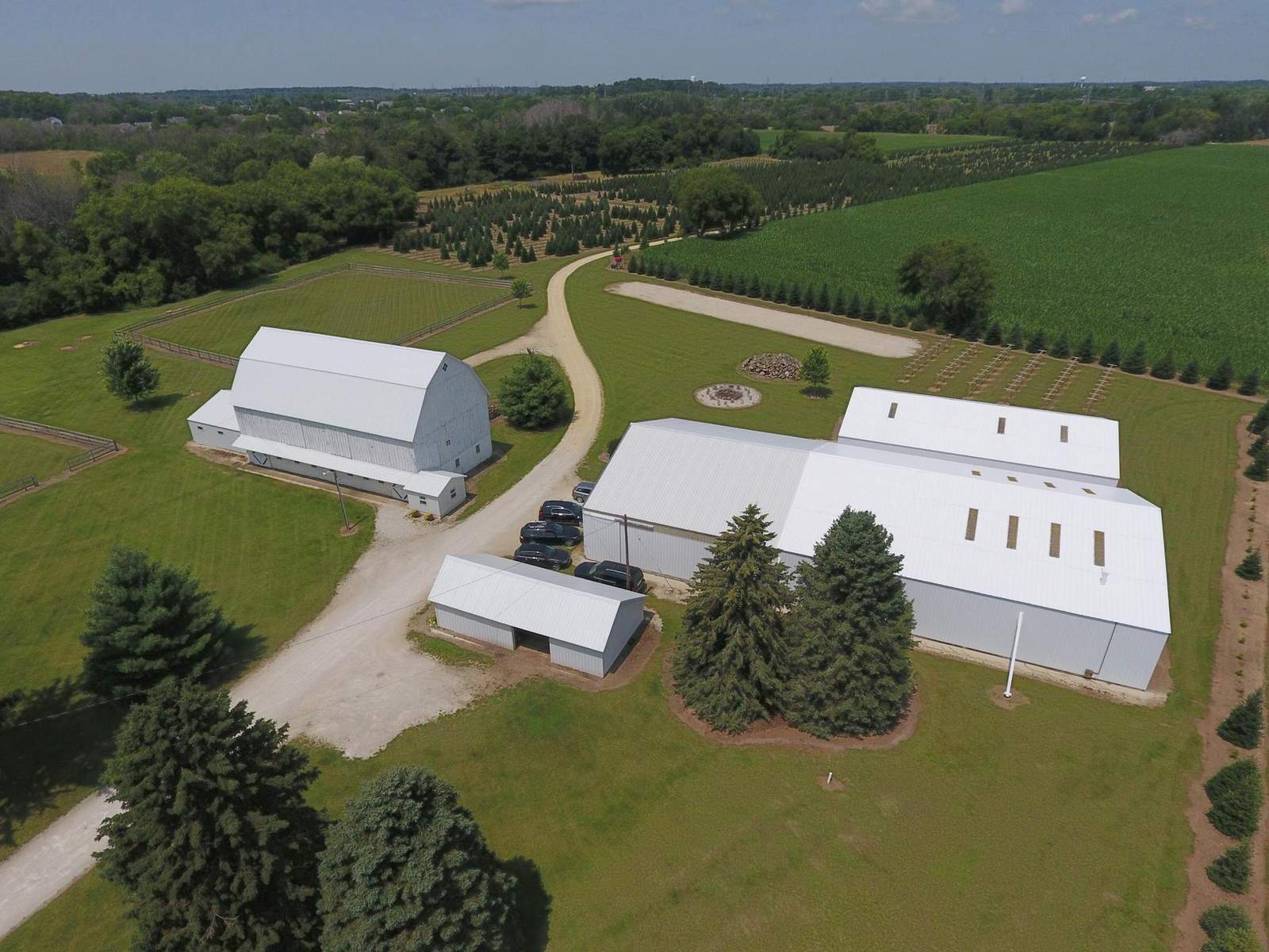Sandhill Tree Farm — photo 3