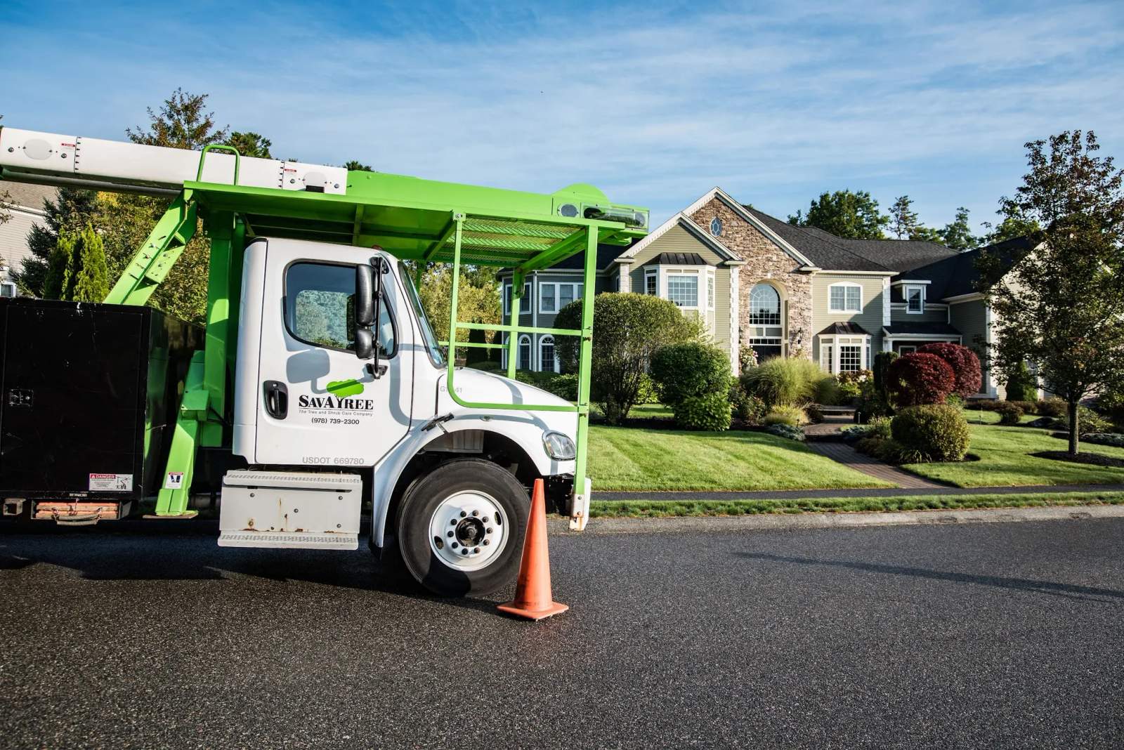 SavATree - Tree Service & Lawn Care — photo 1