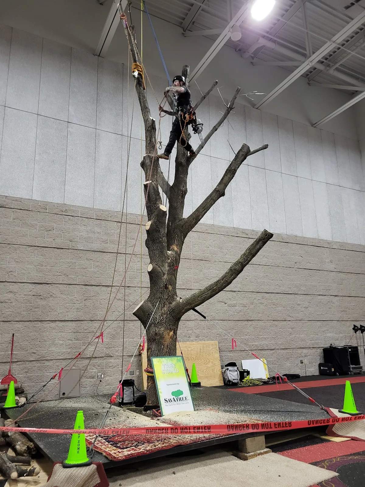 SavATree - Tree Service & Lawn Care — photo 2