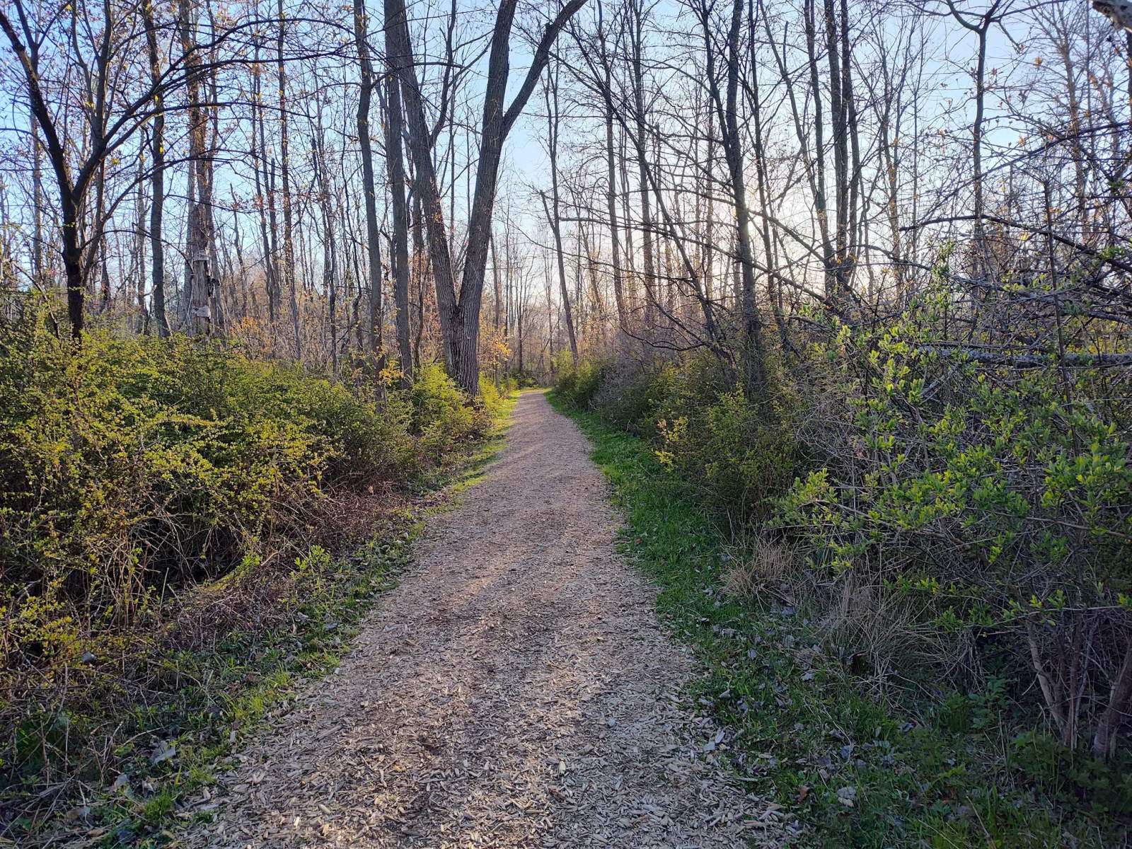 The Black River Trails — photo 1