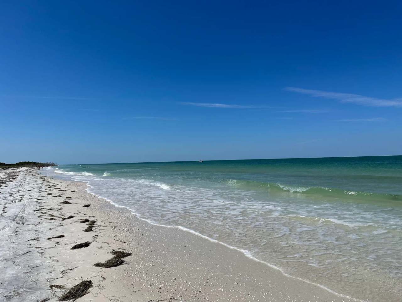 Honeymoon Island State Park — photo 1
