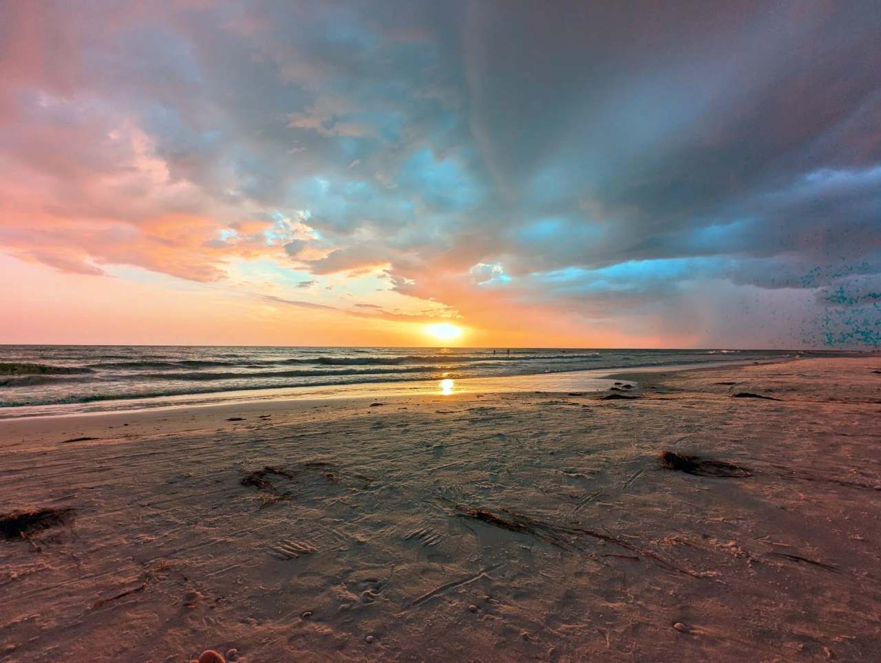 Honeymoon Island State Park — photo 3