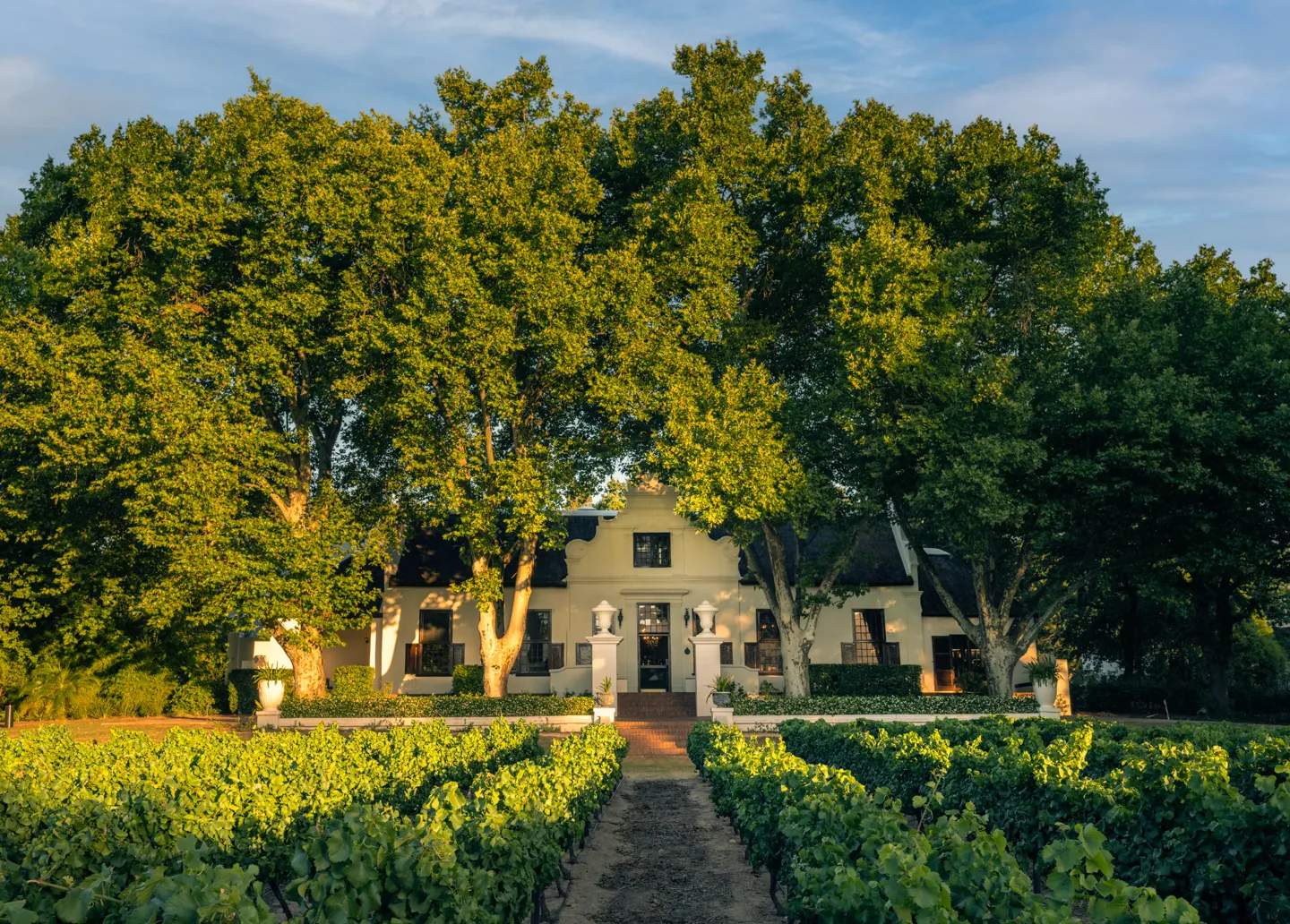 Nederburg Wines — photo 1