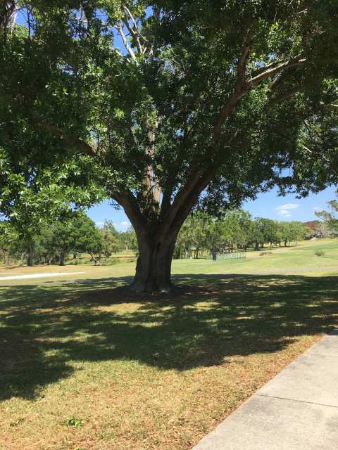 Clearwater Country Club — photo 3