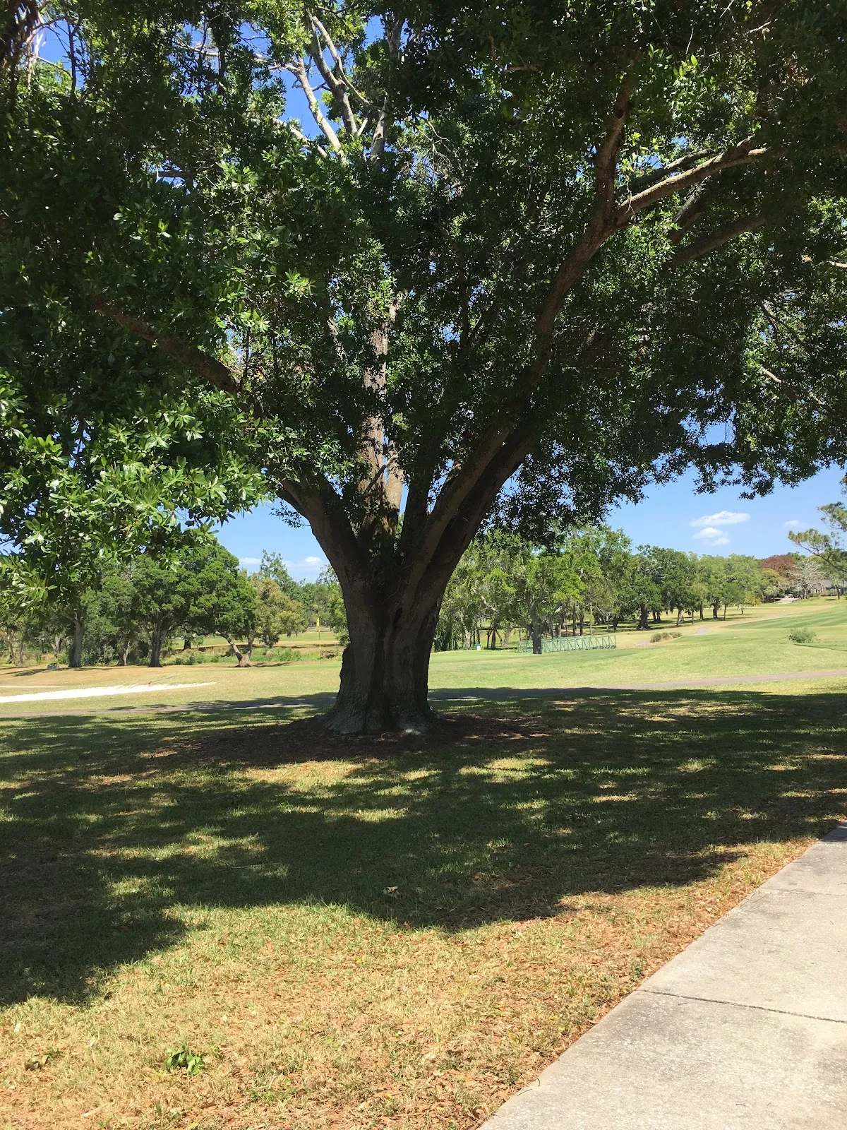 Clearwater Country Club — photo 3