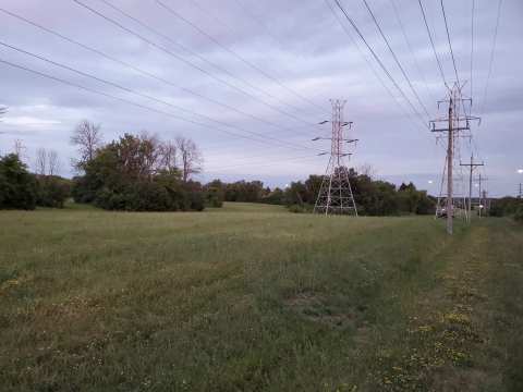 The Powerline Trail — photo 2