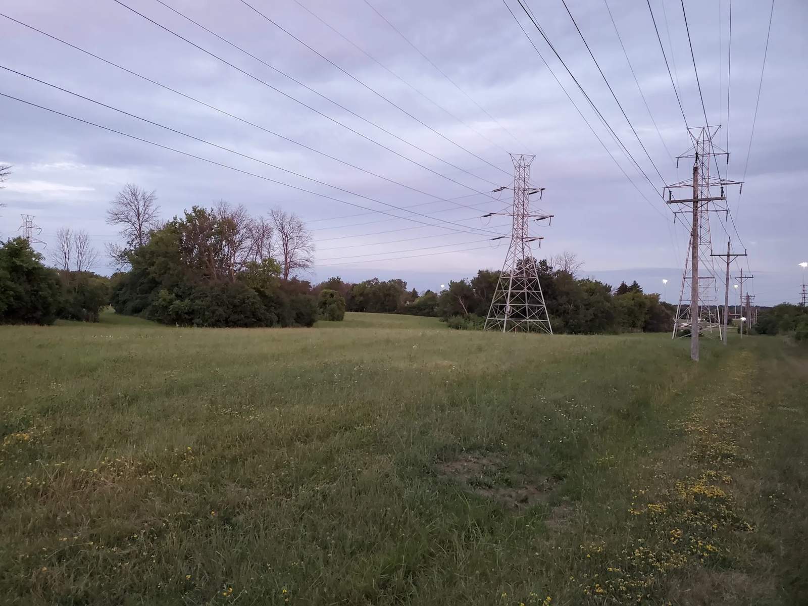 The Powerline Trail — photo 2