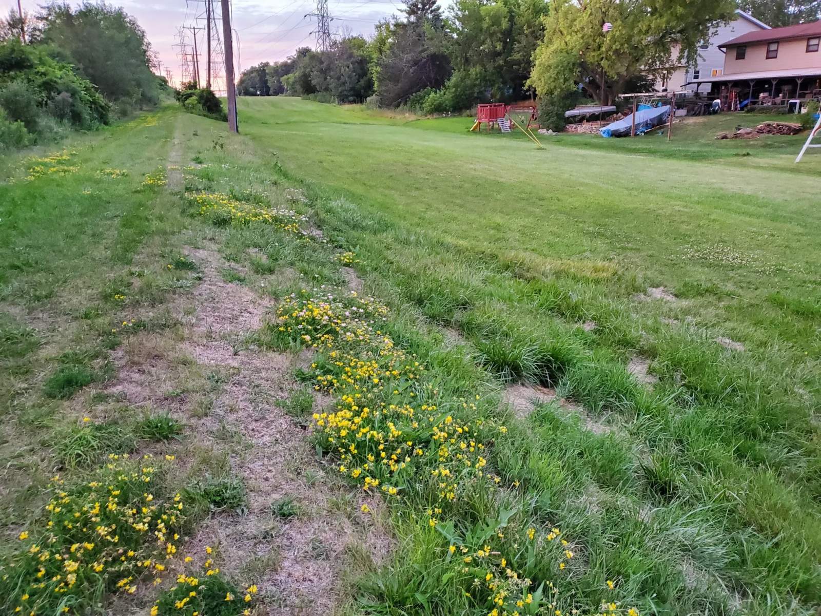 The Powerline Trail — photo 3