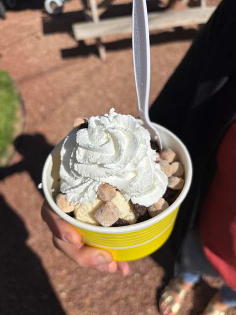 Frankie's Ice Cream — photo 4