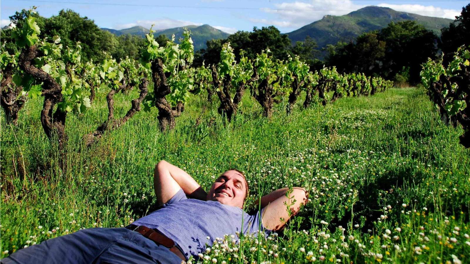 Domaine Eole — photo 1