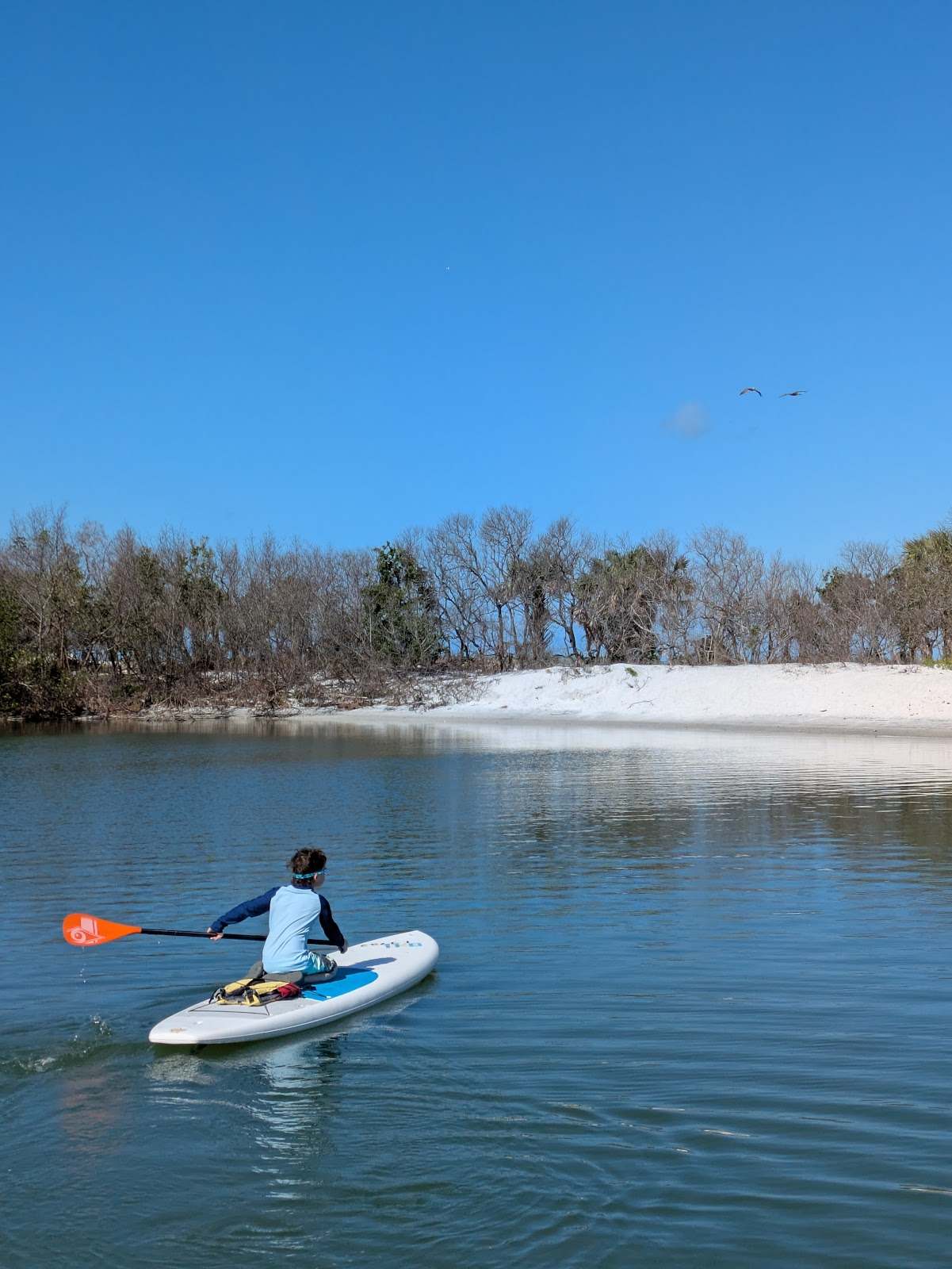 Paddle Out Adventures — photo 2