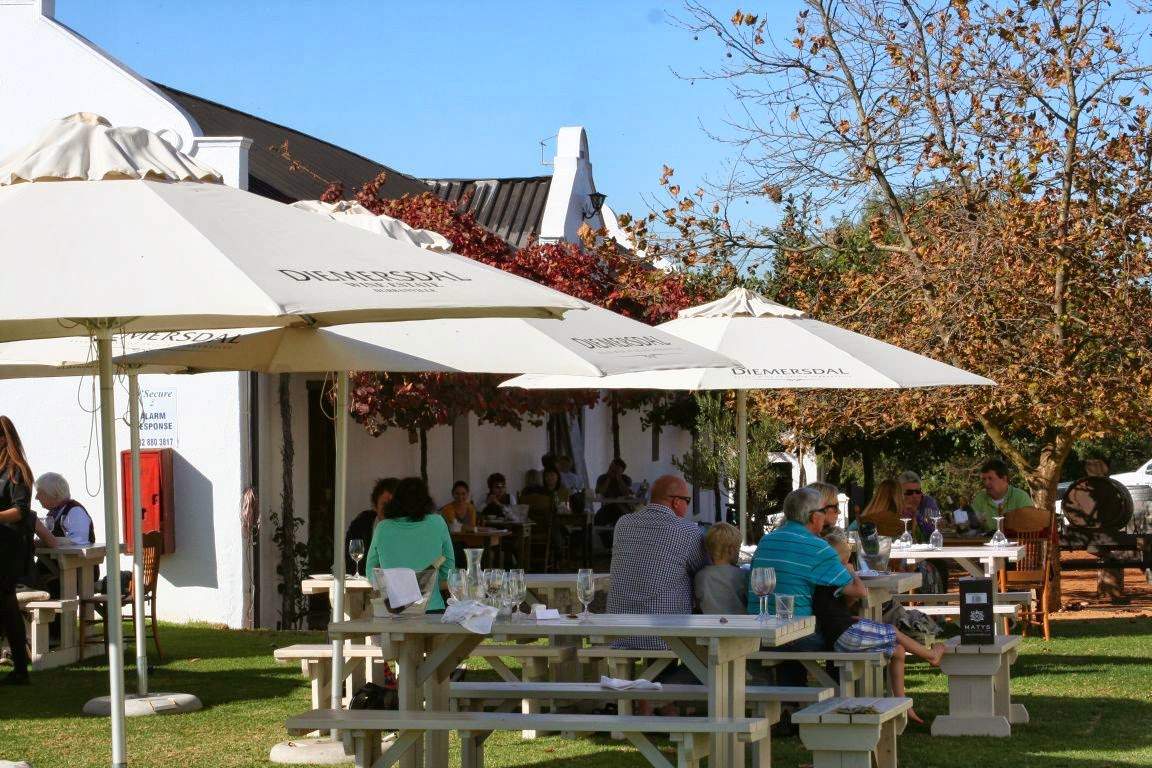 Diemersdal Wine Estate — photo 2