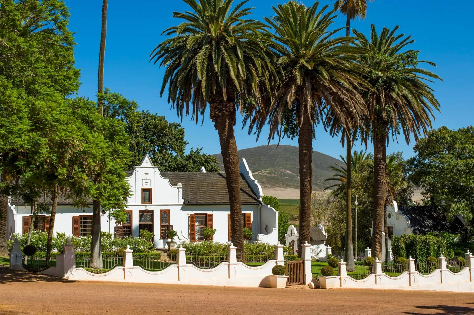 Diemersdal Wine Estate — photo 3