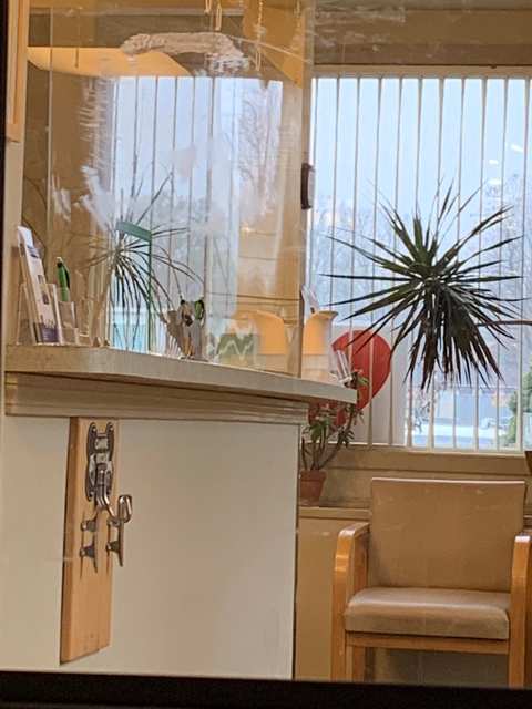 Davis Companion Animal Hospital — photo 3