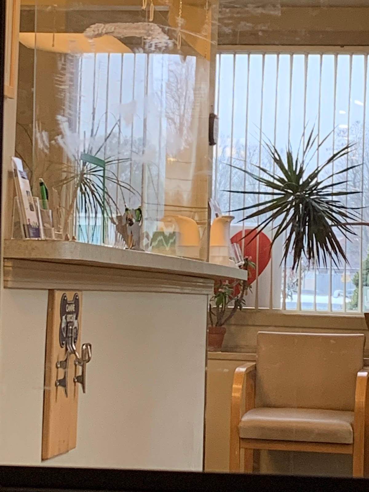 Davis Companion Animal Hospital — photo 3