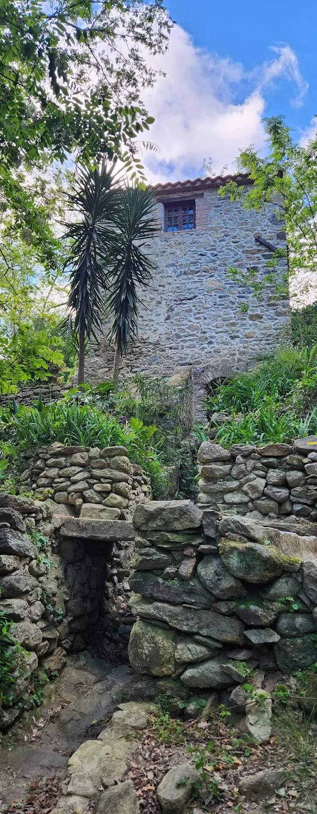 Le moulin de la Pave — photo 1