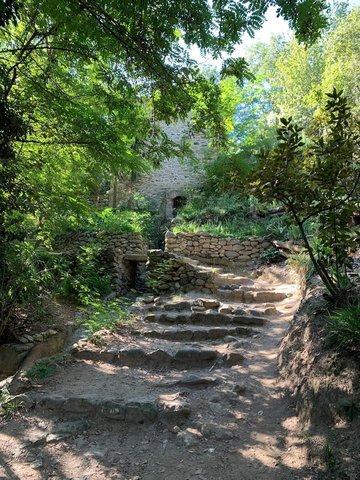 Le moulin de la Pave — photo 2