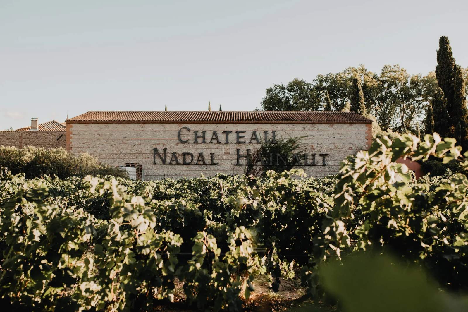 Castle Nadal Hainaut — photo 1