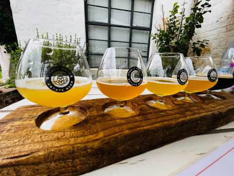 Starke Brews — photo 2