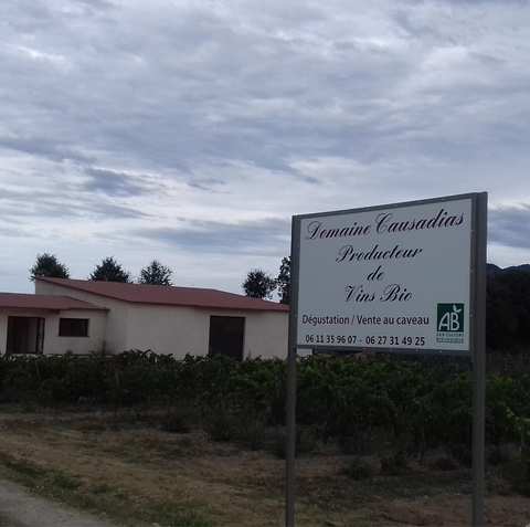 Point de vente du domaine Causadias — photo 5