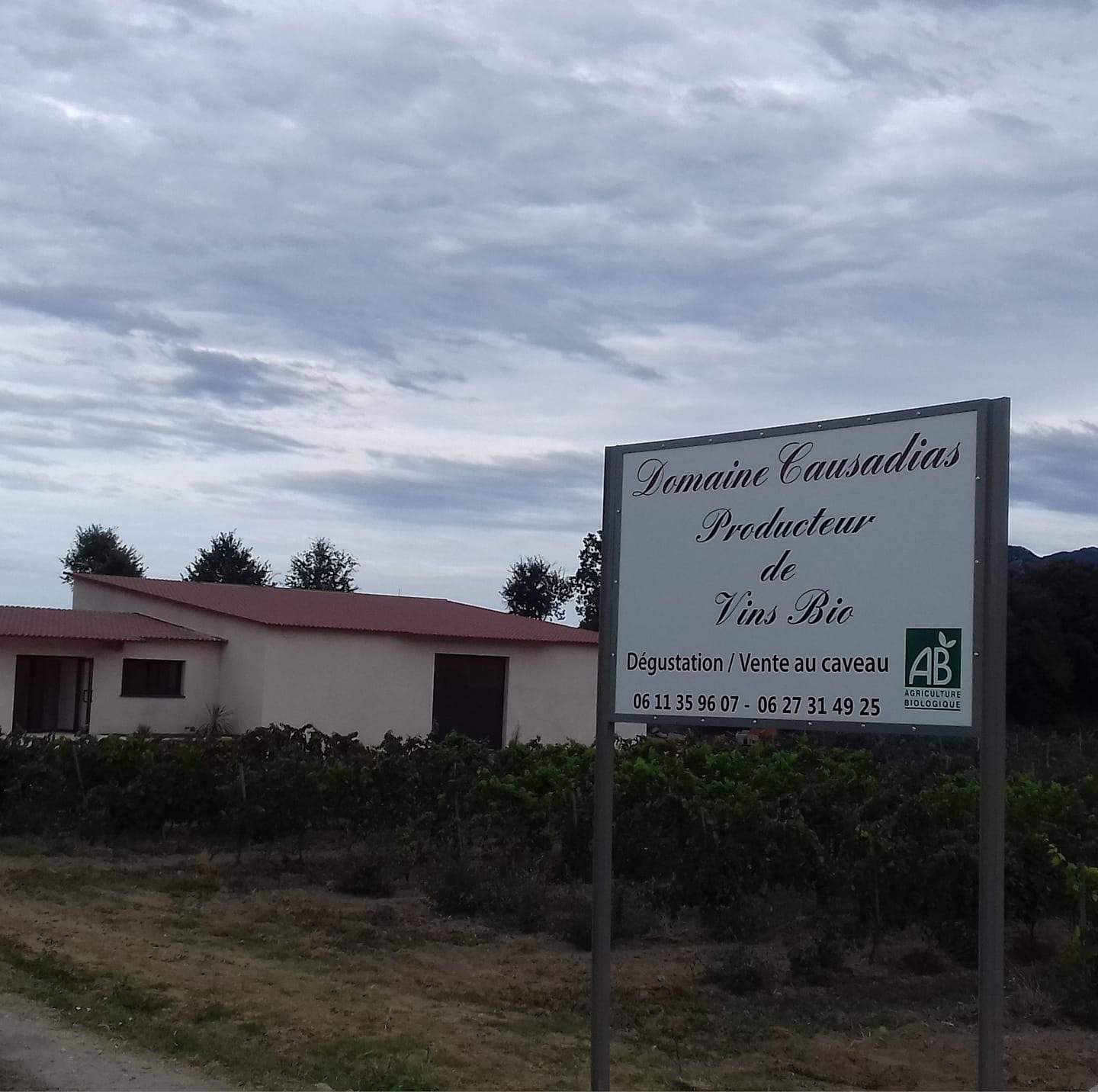Point de vente du domaine Causadias — photo 5