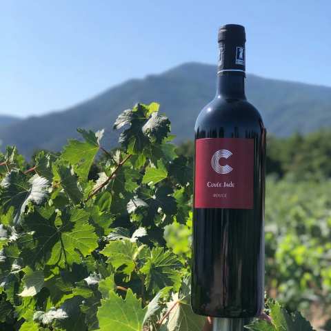 Point de vente du domaine Causadias — photo 2
