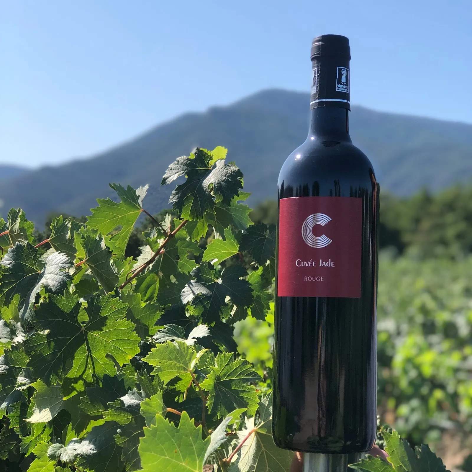 Point de vente du domaine Causadias — photo 2