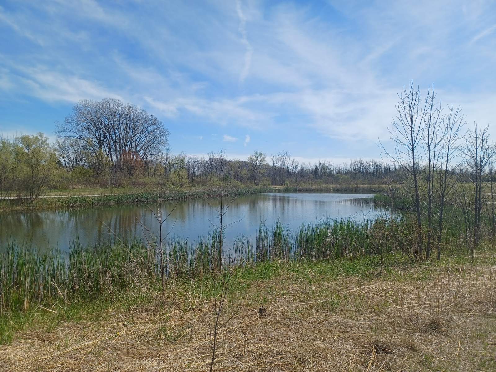 Tendick Nature Park — photo 7