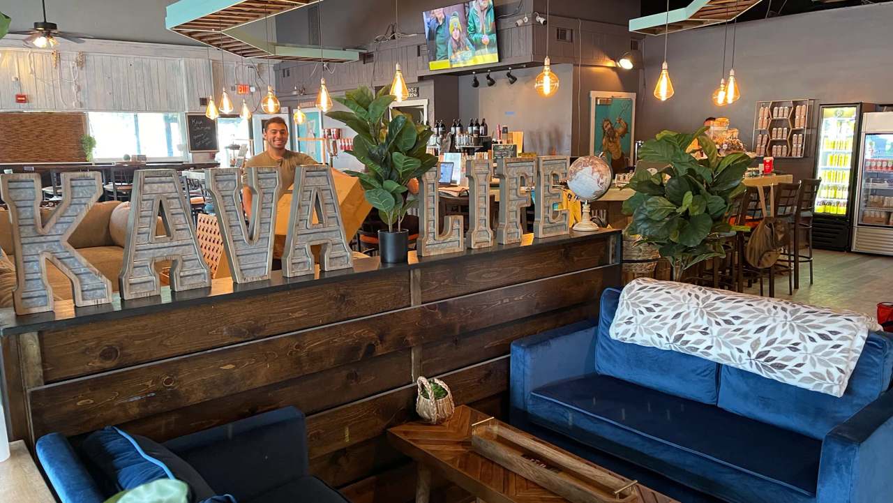 Kava Culture Clearwater — photo 1