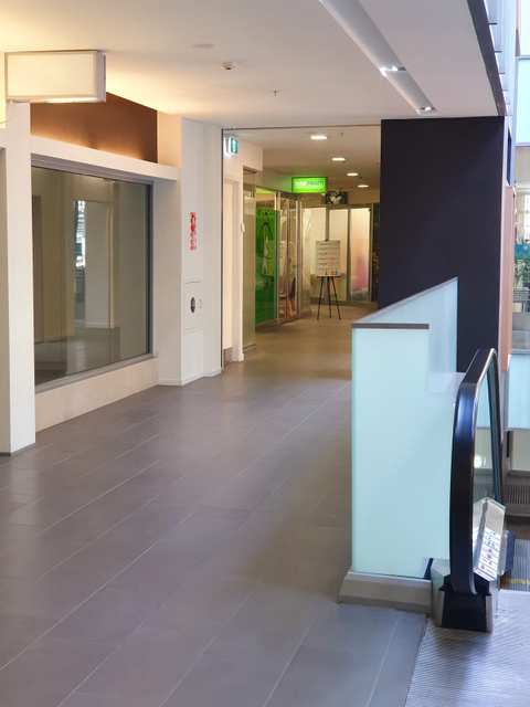 The Chiropractors — photo 2