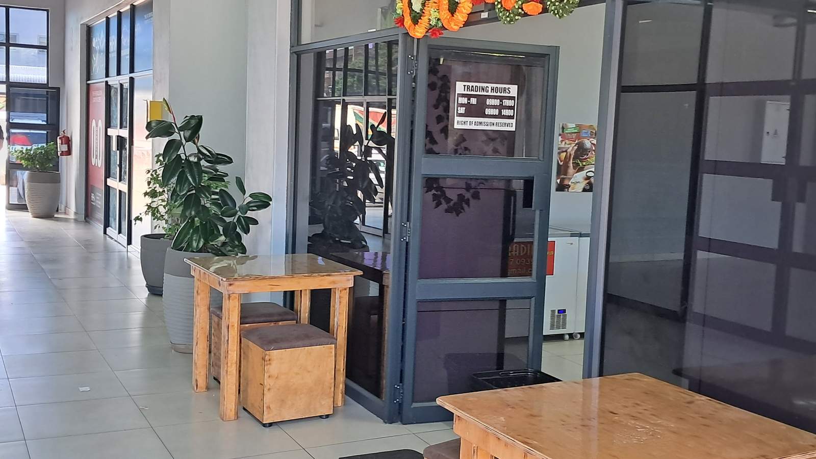 Vegovegan — photo 5
