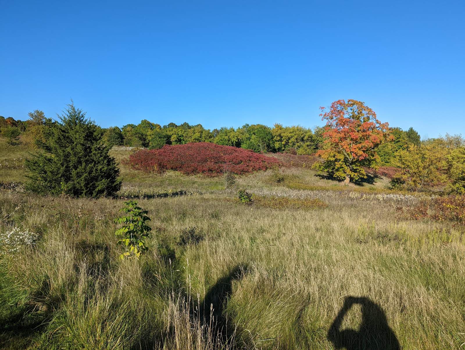 Big Cedar Lake Hiking Trails — photo 1