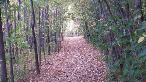 Big Cedar Lake Hiking Trails — photo 2