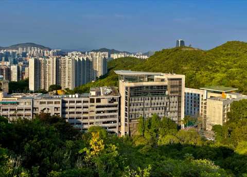 Chinese International School — photo 2