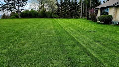 Asap Earth Landscaping & Lawn Care — photo 3