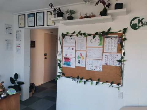 KiwiHealth Acupuncture & Massage Clinic — photo 3