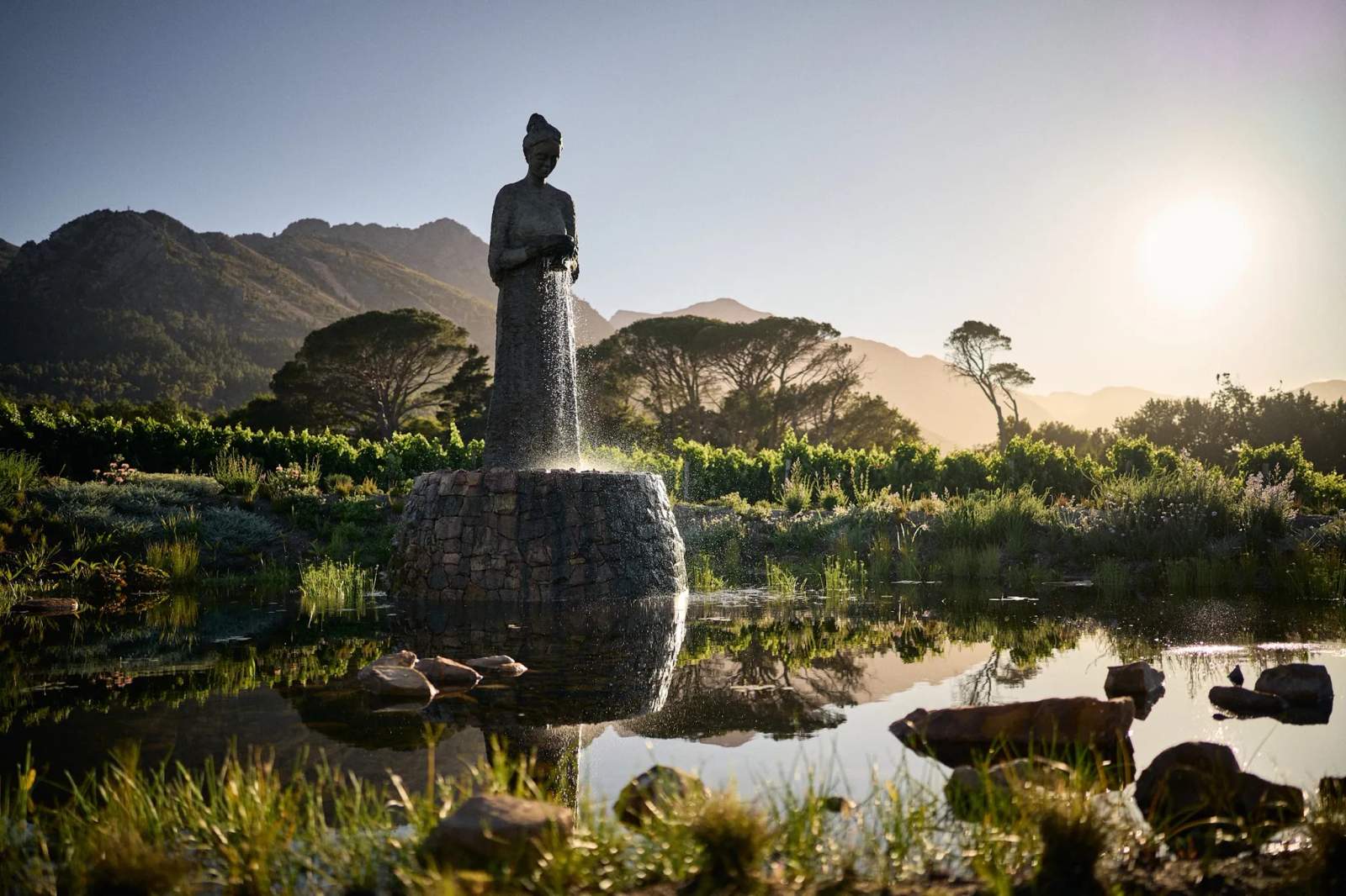 La Motte Wine Farm — photo 1