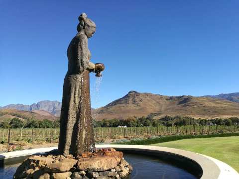 La Motte Wine Farm — photo 3