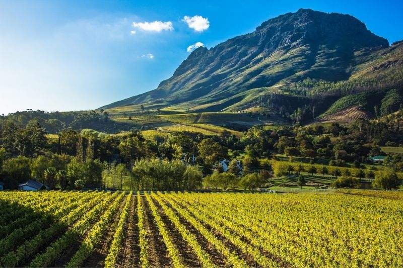 Luhambo Tours - Exclusive Wine Tours Cape Town — photo 1