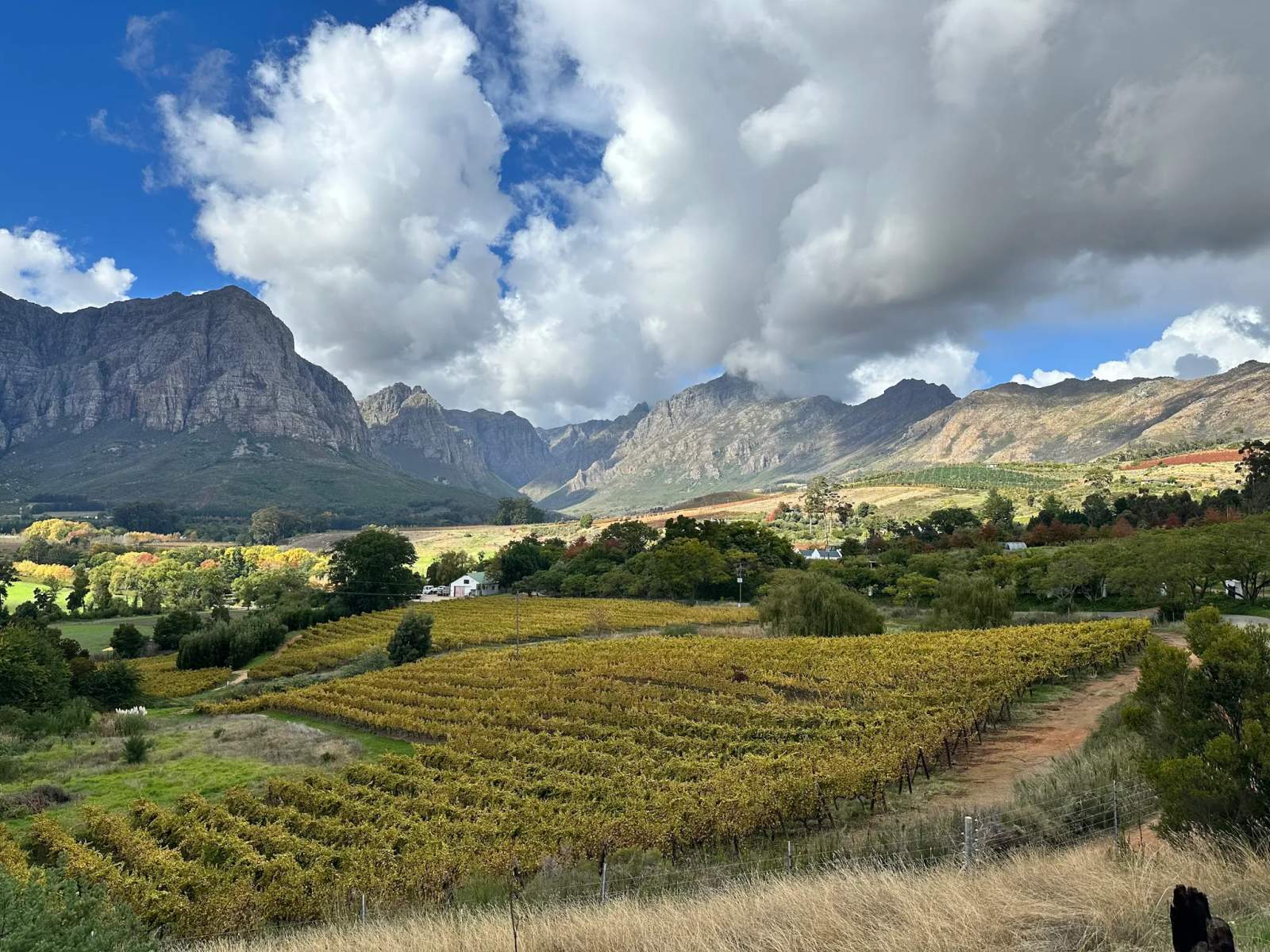 Luhambo Tours - Exclusive Wine Tours Cape Town — photo 2