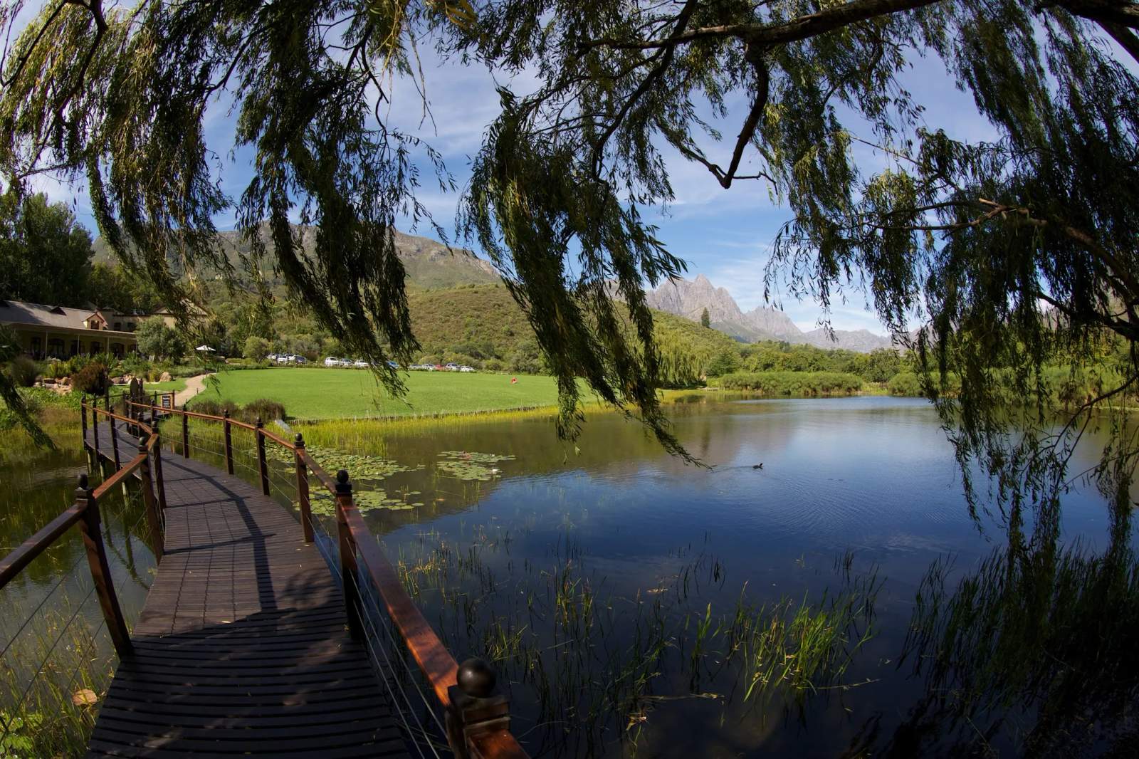 Luhambo Tours - Exclusive Wine Tours Cape Town — photo 5