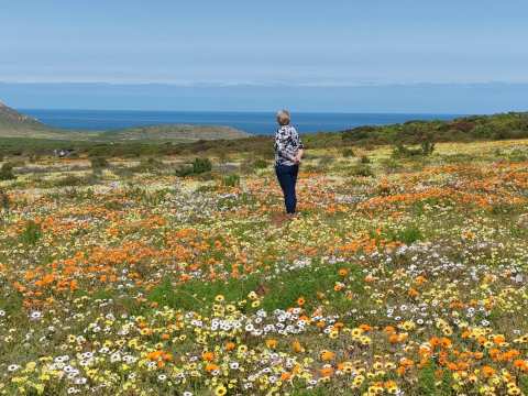 Winelands Guide — photo 2