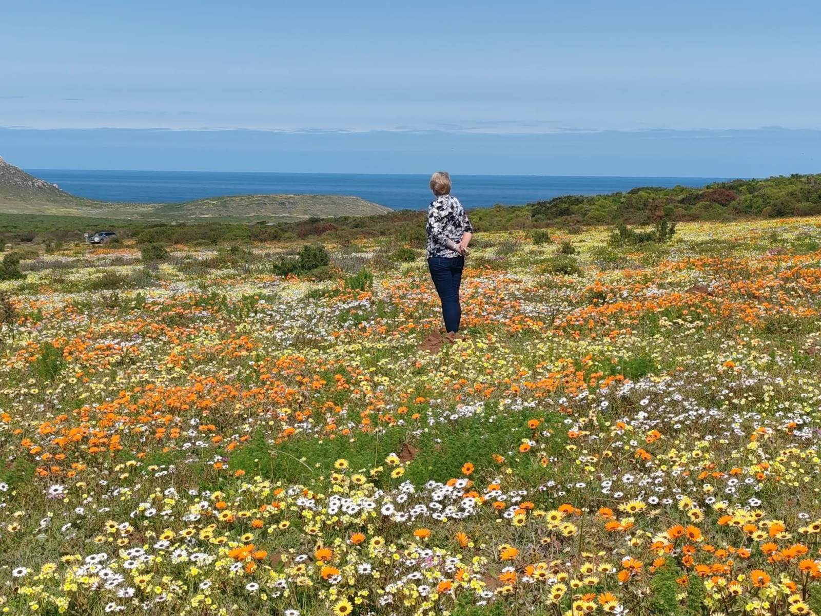 Winelands Guide — photo 2