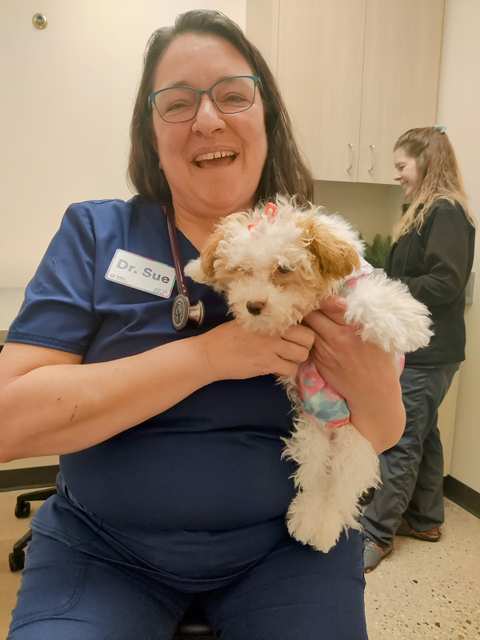 Vetco Total Care — photo 2