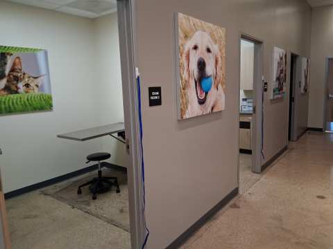 Vetco Total Care — photo 3