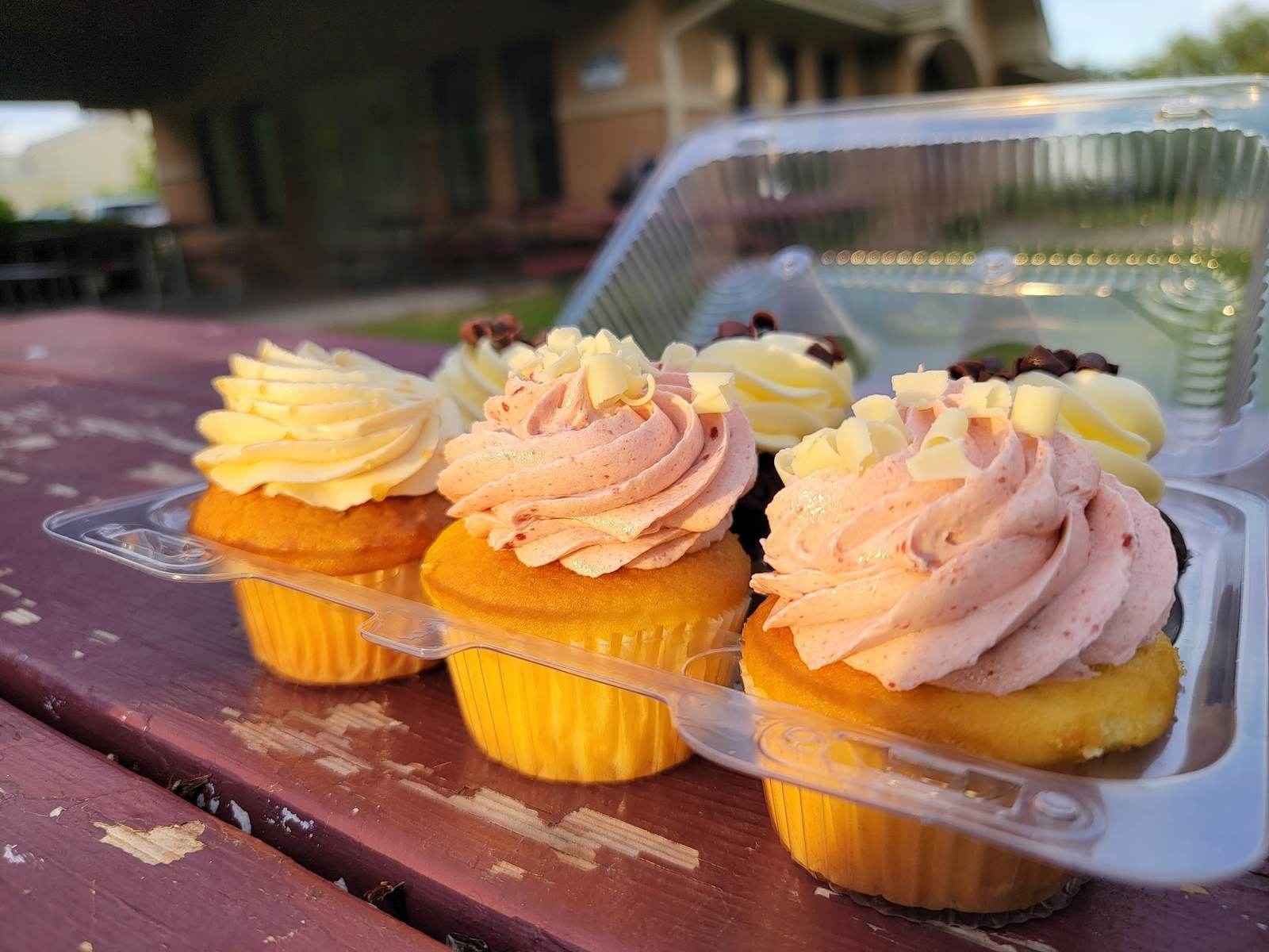 Delicately Delicious — photo 9