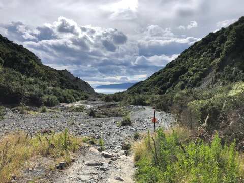 Putangirua Pinnacles Scenic Reserve and campsite — photo 3